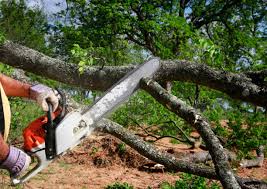 Leaf Removal in Garden Acres, CA